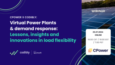 Virtual Power Plants and Demand Response